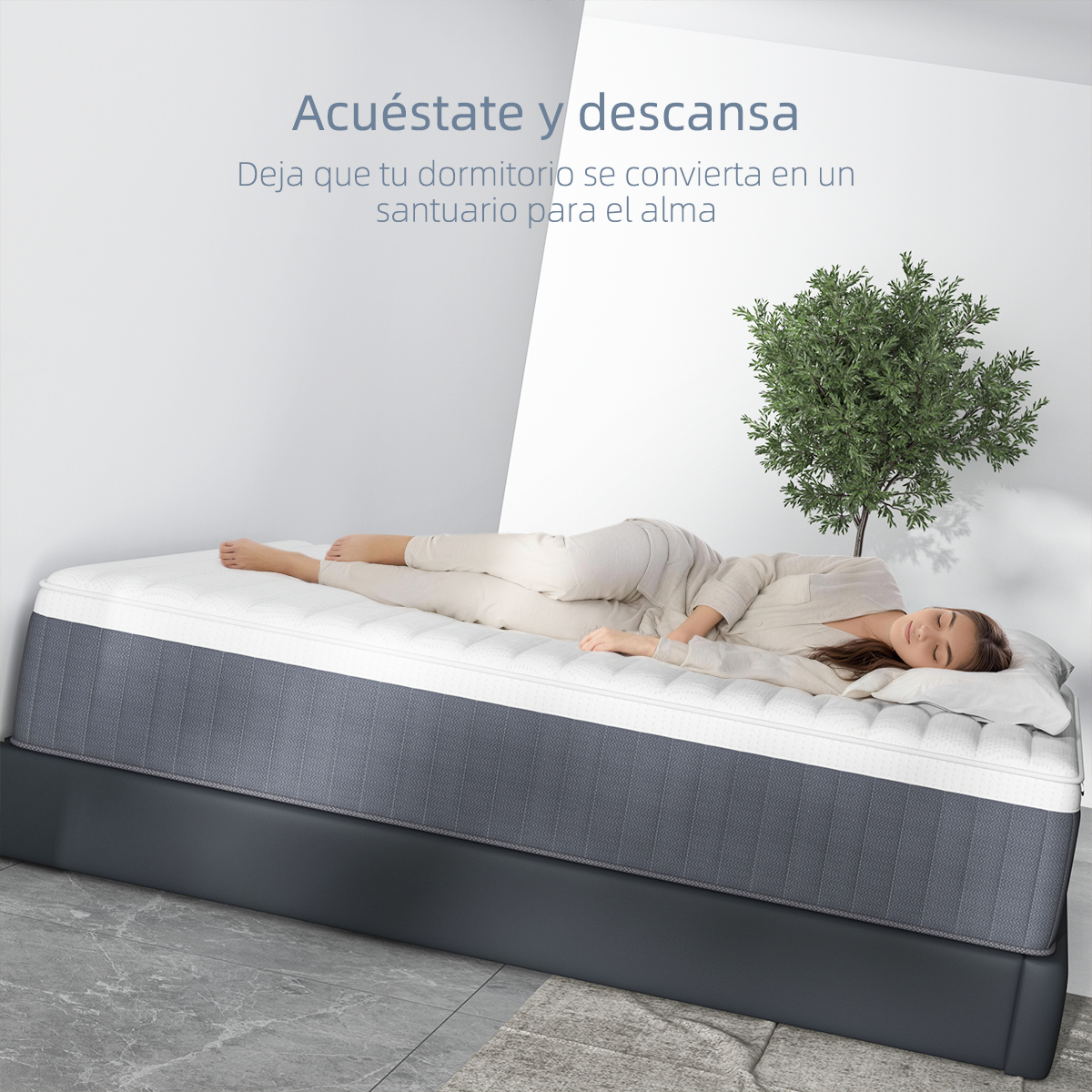 Comfort Serenidad