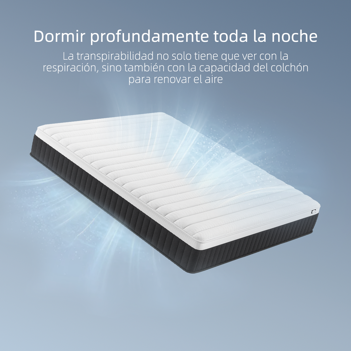 Comfort Vital
