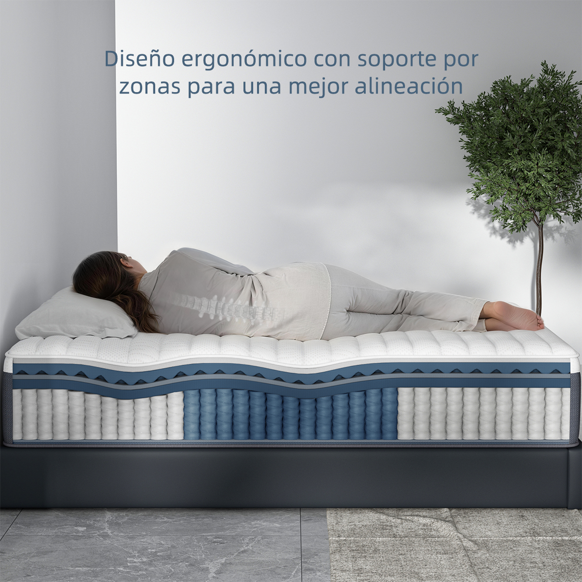 Comfort Serenidad